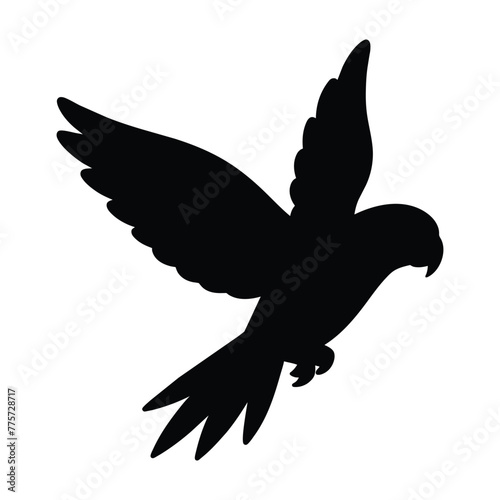 Parrot bird silhouette illustration on white