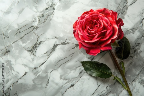 Rose on marble, copy space. Red rose on a gray background with space for text