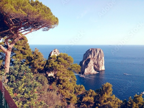 I faraglioni di Capri visti attraverso gli alberi.