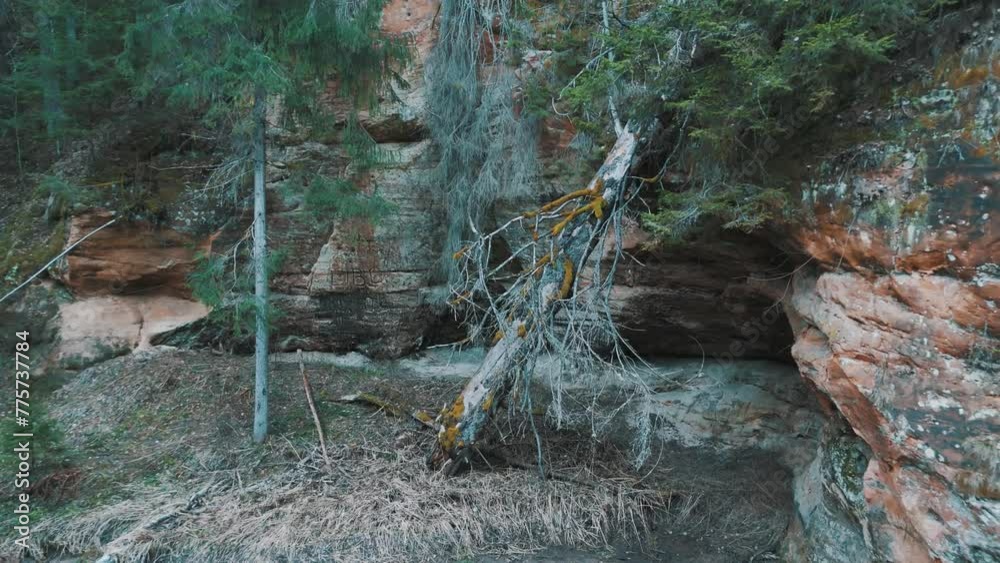 Cecilu Nature Trail in Ieriki, Latvia. Cecilu Cave and Rock Rock From the Right Bank of Kumada River. The Northern Rock Aerial Dron Shoot. Cecilu Nature Trail is a Walking Route for Tourists