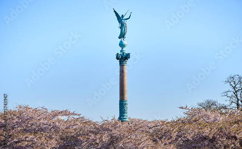 Angelic statue for the fallen in war saluting high on blooming pink cherry flowers conveys peace and unity concept. Lady on Huitfeldt column represents friendship, love and reconciliation. Copenhagen photo