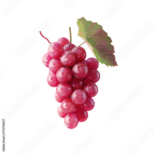 Grapes with a leaf on a stem