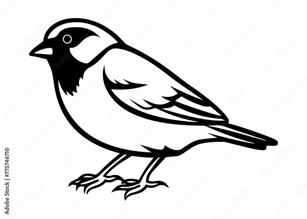 finch silhouette vector illustration finch silhouette vector illustration