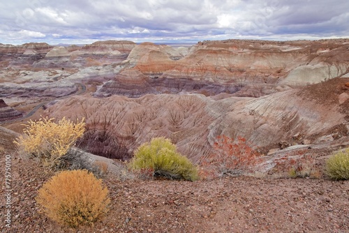looking down on the blue mesa trail and petrified wood, with colorful shrubs  in  the blue mesa  badlands area of petrified forest national park, arizona, on a stormy winter day