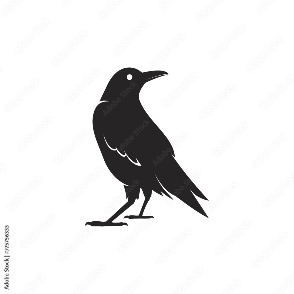 Logo of Silhouetted Raven Logo of Silhouetted Raven
