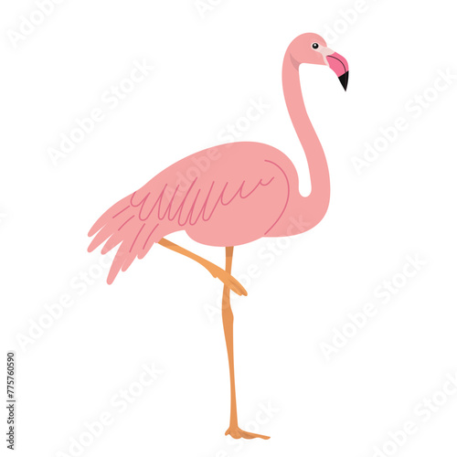 pink flamingo in flat style  isolated on white background vector