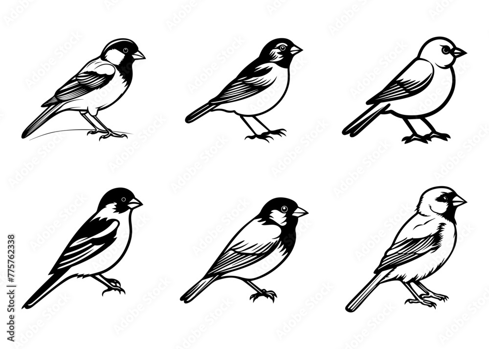 Fototapeta premium set of silhouettes of birds Vector illustration silhouette image icon