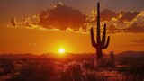 Desert Sunset With Cactus