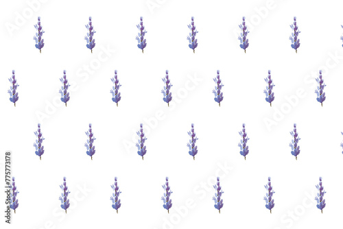 Seamless summer pattern with an image of a purple lavender flower on a white background. Hand drawn watercolor illustration for design of notebooks, wrapping paper and printed materials, fabric © Tatyana