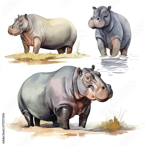 Watercolor drawing vector of set hippo, isolated on a white background, clipart image, Illustration painting, design art, hippo vector, Graphic logo, drawing clipart. 