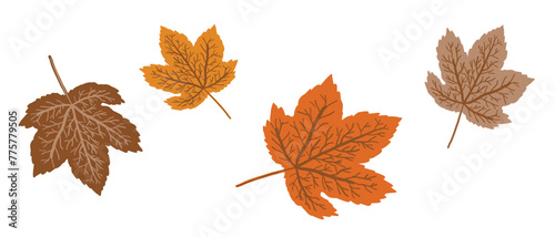 Vector set of flat style maple leaves isolated on a white background. Autumn maple tree leaves for greeting cards, holiday banners, and posters.