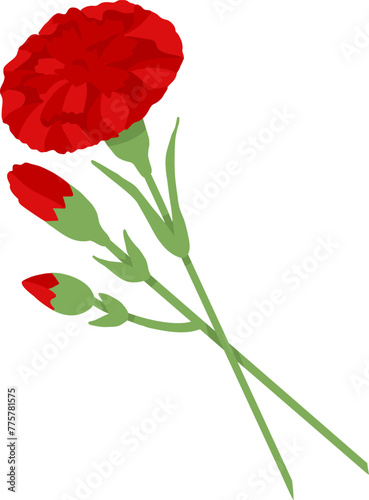 Red carnation on transparent background. Vector illustration for decoration of postcard for May 9th