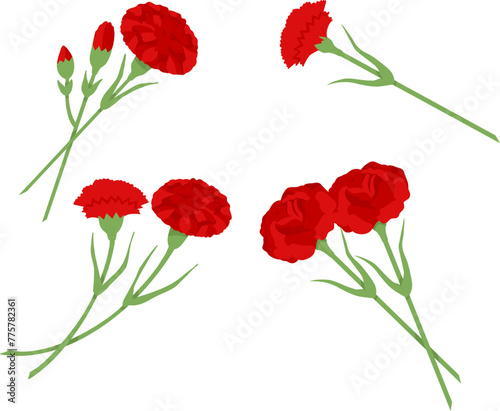 Red carnation on transparent background. Set of illustrations for design of postcard for May 9th