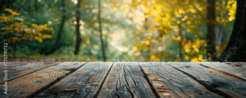 Empty rustic wooden table with green sforest in background