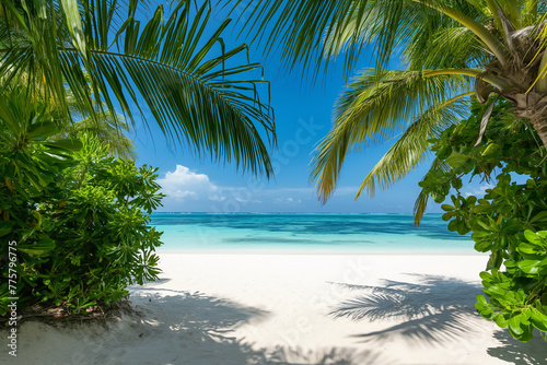 Deserted tropical beach with white sand © Juri