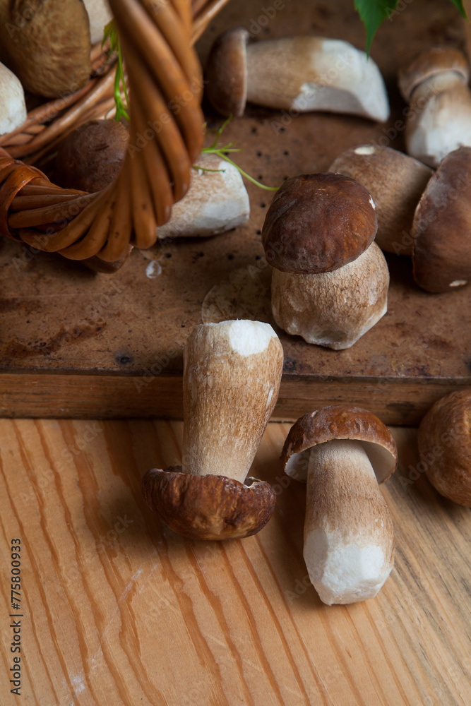 Selective focus on beautyfull porcini mushroom among the pile of wild porcini mushrooms on wooden background at autumn season.. Selective focus on beautyfull porcini mushroom among the pile of wild porcini mushrooms on wooden background at autumn season..