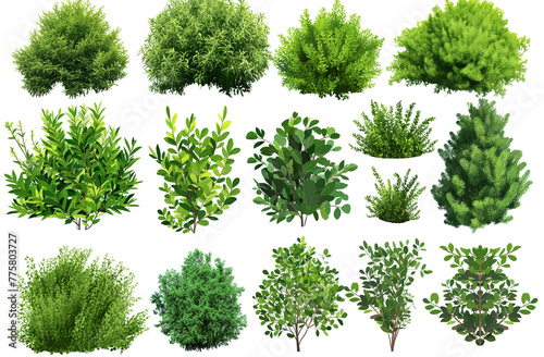Set of fluffy beautiful green bushes of different shapes and sizes isolated on transparent background, realistic, 3D