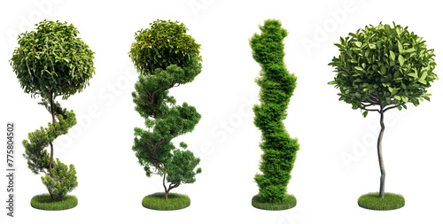 Set of cypress, juniper, thuja, holmstrup, aurkospikata, bush, nature, isolated on white, in different positions, realistic, 3D
 photo