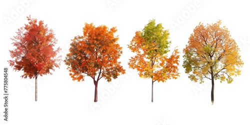 Set autumn, tree orange, leaves yellow, nature, isolated on white, in different positions, realistic, 3D