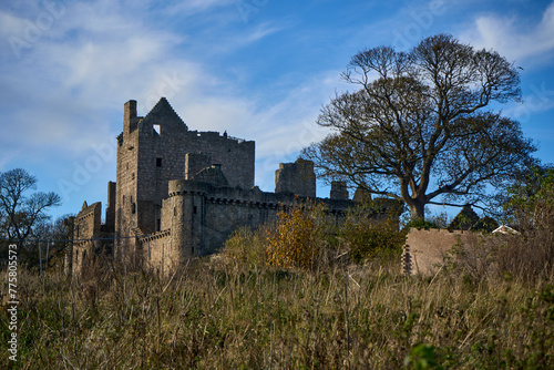 Craigmillar Castle. A majestic stone castle exudes grandeur and history against lush greenery. Towering turrets, strong walls, and a serene tree add to the composition. photo