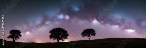 Night sky with milky way, stars and big tree. Panorama