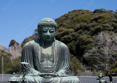 The Great buddha in Kamakura