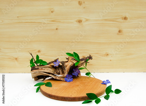 Natural wood podium for cosmetic products presentation. Minimal cosmetic background. Wooden background.