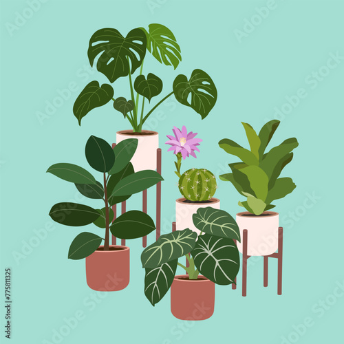 Set of different home plants in flowerpots on stands. Houseplants for home decoration. Urban jungle. Hand drawn vector illustration isolated on blue background, modern flat cartoon style.