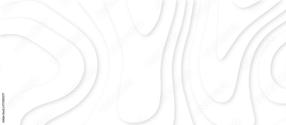 Abstract paper carve template. abstract white and gray 3d papercut topography relief vector background illustration. topographic canyon geometric map relief texture with curved layers and shadow.