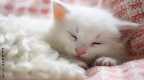 Cute white kitten sleeps in bed. Pets concept in pastel colors