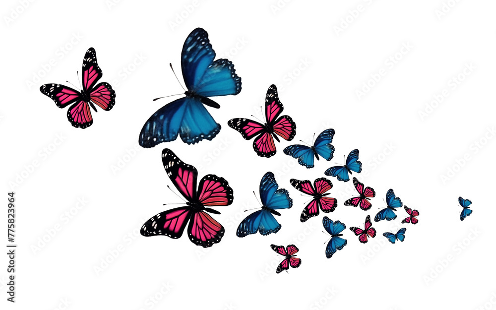 Color butterfly, png isolated on transparent background.
