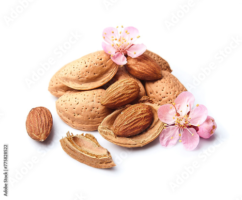 Almonds nuts with blooms almond