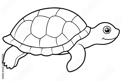 turtle on the beach & turtle--vector-illustration  photo