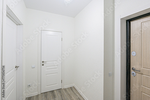 standard room interior apartment. room doors, renovation corridor lobby entrance hall