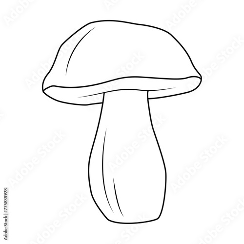Bolete Mushrooms. Hand drawn Line art. Black and white isolated on white background. Coloring page for kids and adults. Vector illustration.