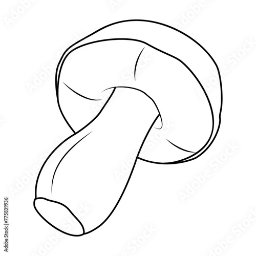 Bolete Mushrooms. Hand drawn Line art. Black and white isolated on white background. Coloring page for kids and adults. Vector illustration.