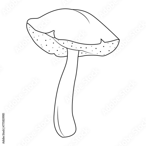 Bolete Mushrooms. Hand drawn Line art. Black and white isolated on white background. Coloring page for kids and adults. Vector illustration.