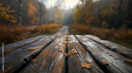A wooden bench is placed in the midst of a forest setting