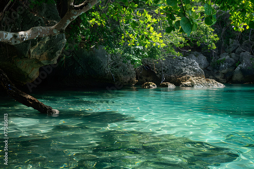 Serene Tropical Cove: Crystal-Clear Waters and Lush Greenery in a Secluded Nature Retreat © HNXS Digital Art