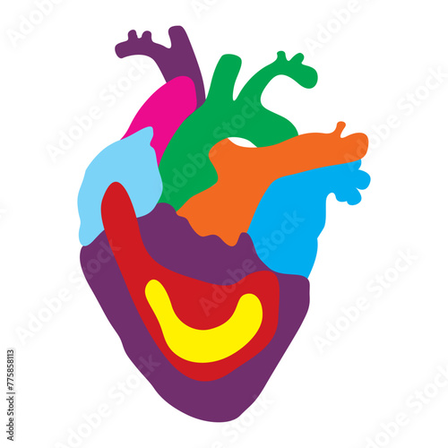 Vector human heart shape with flat graphic design style, flat colours with the concept for LGBTQ. Vector heart shape on white background.