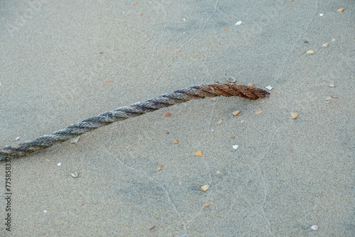 A thick rope used for mooring boats on the beach sunk in the sand