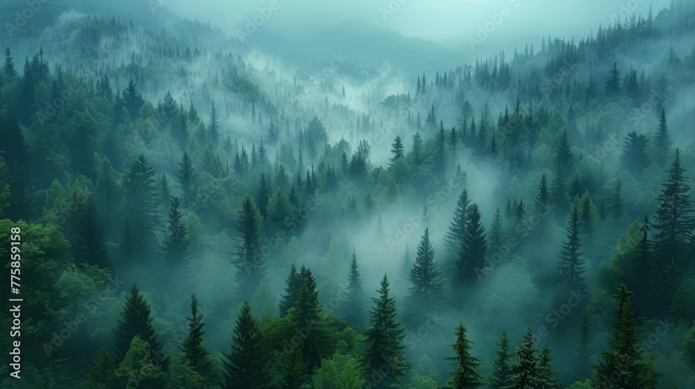 Misty mountain forest landscape in the morning	