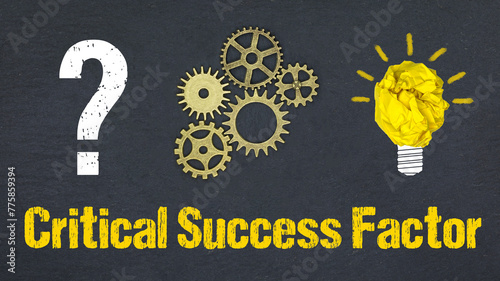 Critical Success Factor 