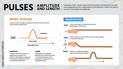 Mastering Pulse Signals-A Visual Guide to Amplitude, Length, and Observation vector infographics design