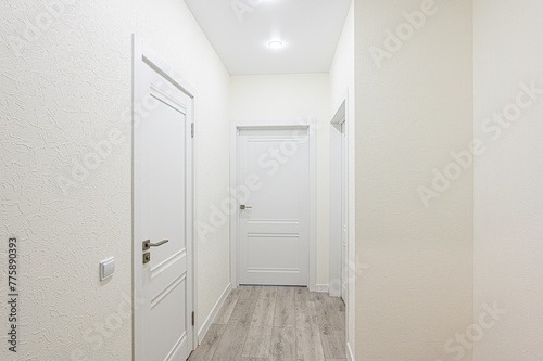 standard room interior apartment. room doors  renovation corridor lobby entrance hall