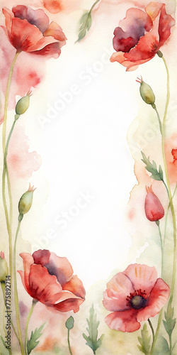background with spring  poppies and space for text © Joanna Redesiuk