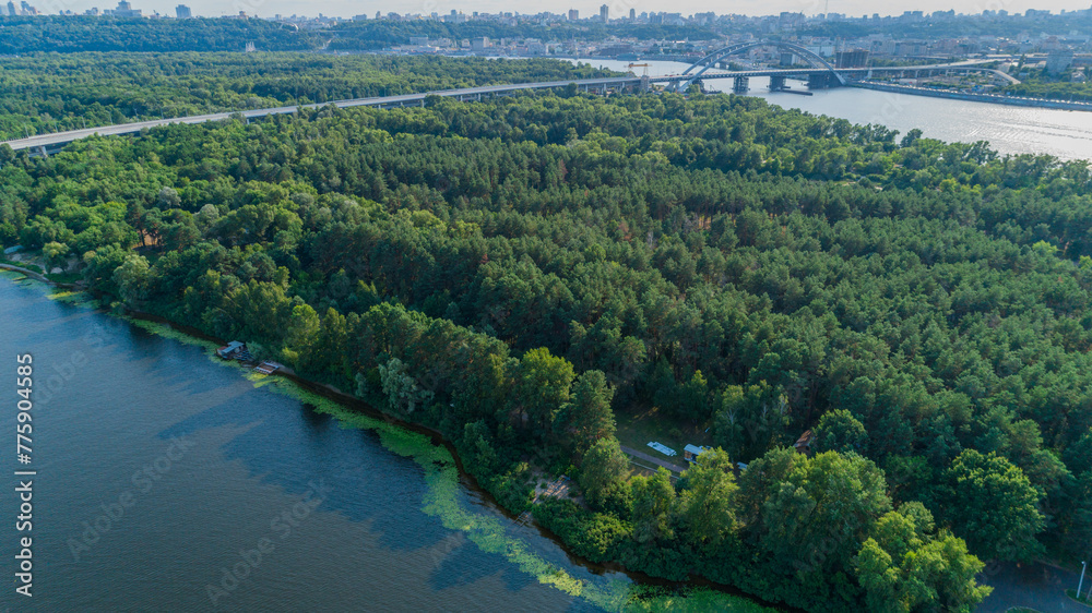 Aerial view summer forest and river in sunny day. Drone shot beautiful nature landscape, green trees
