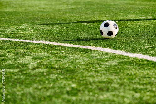 A lone soccer ball sits atop the vibrant green field, basking in the warm sunlight, awaiting the next exhilarating match.