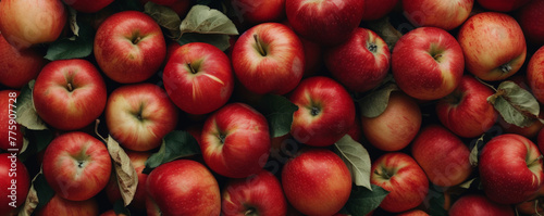 Red apples. Wide organic apple banner background photo