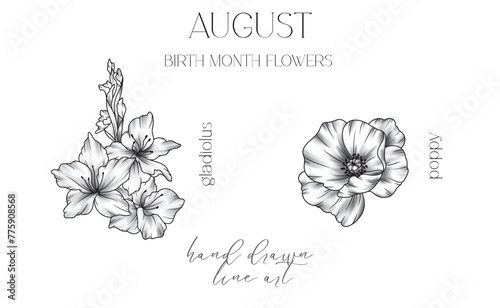 August Birth Month Flowers. Gladiolus outline isolated on white. Poppy Line Art. Hand drawn line art botanical illustration. Black and White Flowers
